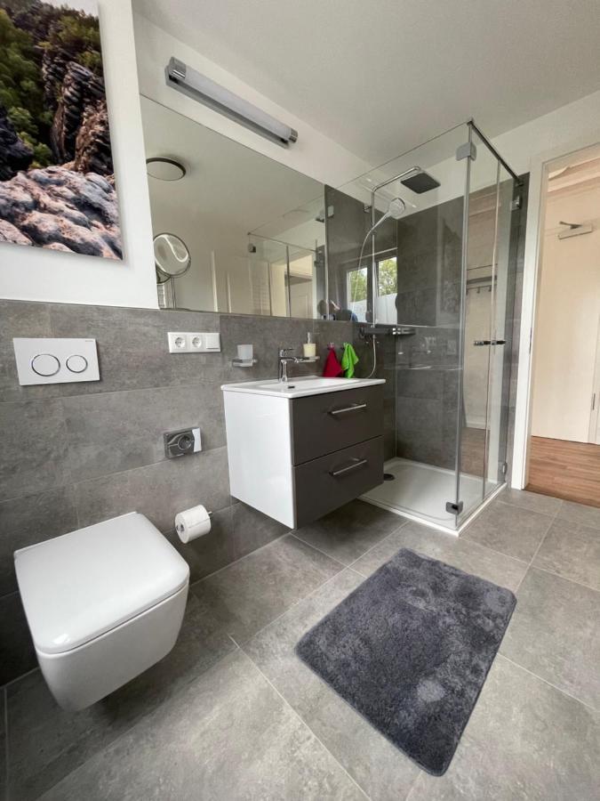 Neues Ferienhaus Kurort Gohrisch Ngoại thất bức ảnh